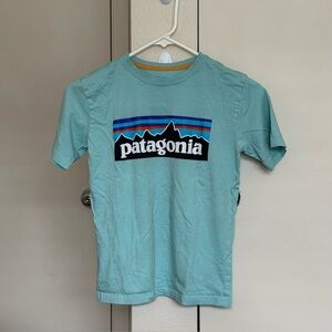 patagonia t-shirt